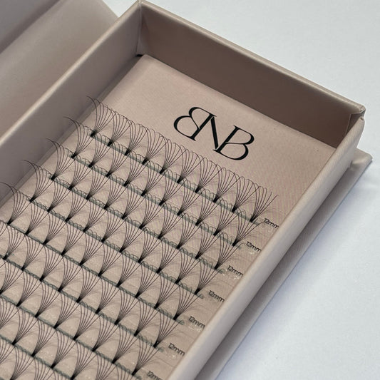 6D Premade Lash Trays